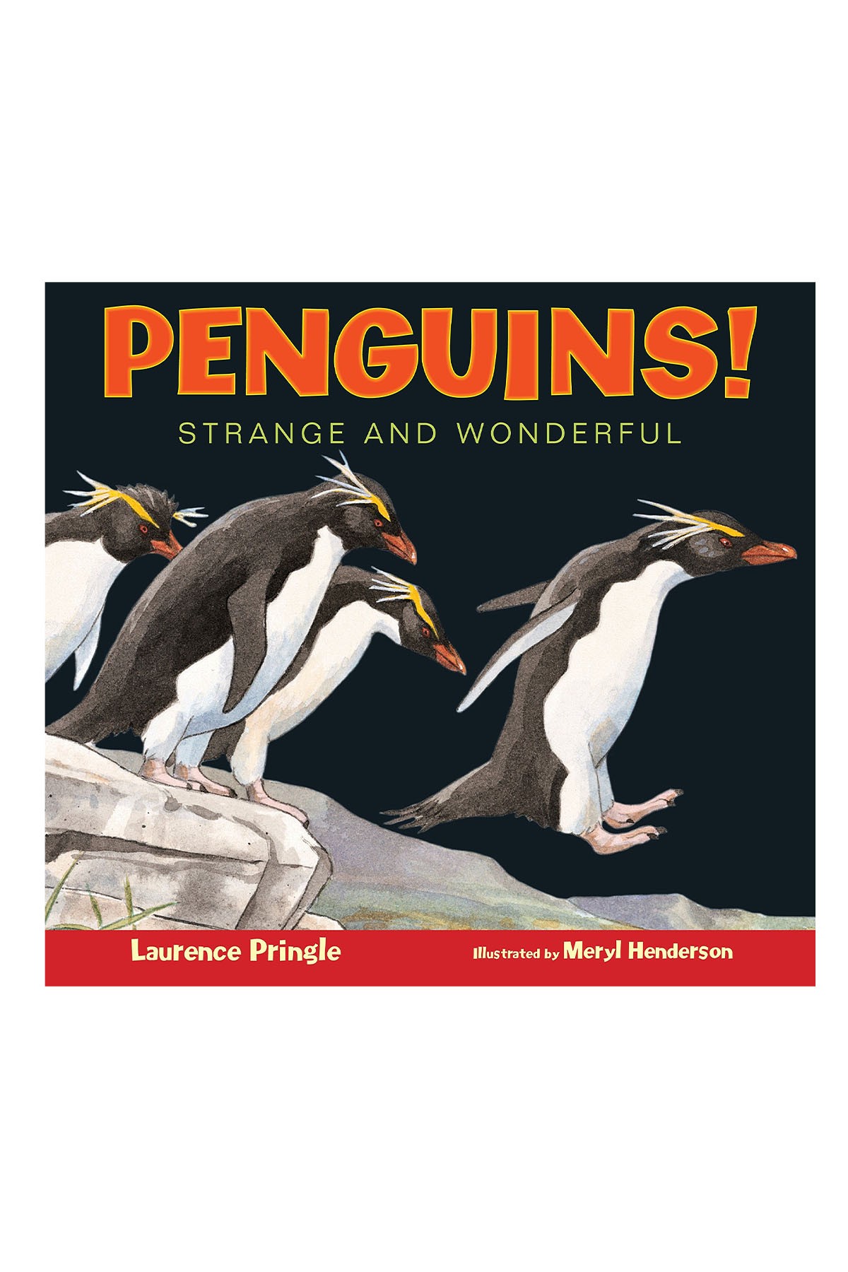 AST - Penguins: Strange And Wonderful