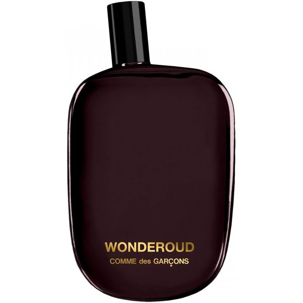 Comme des Garcons Wonderoud image