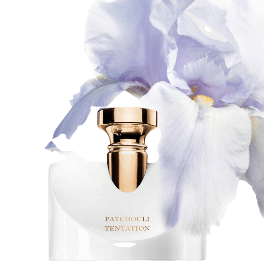 Bvlgari Splendida Patchouli Tentation