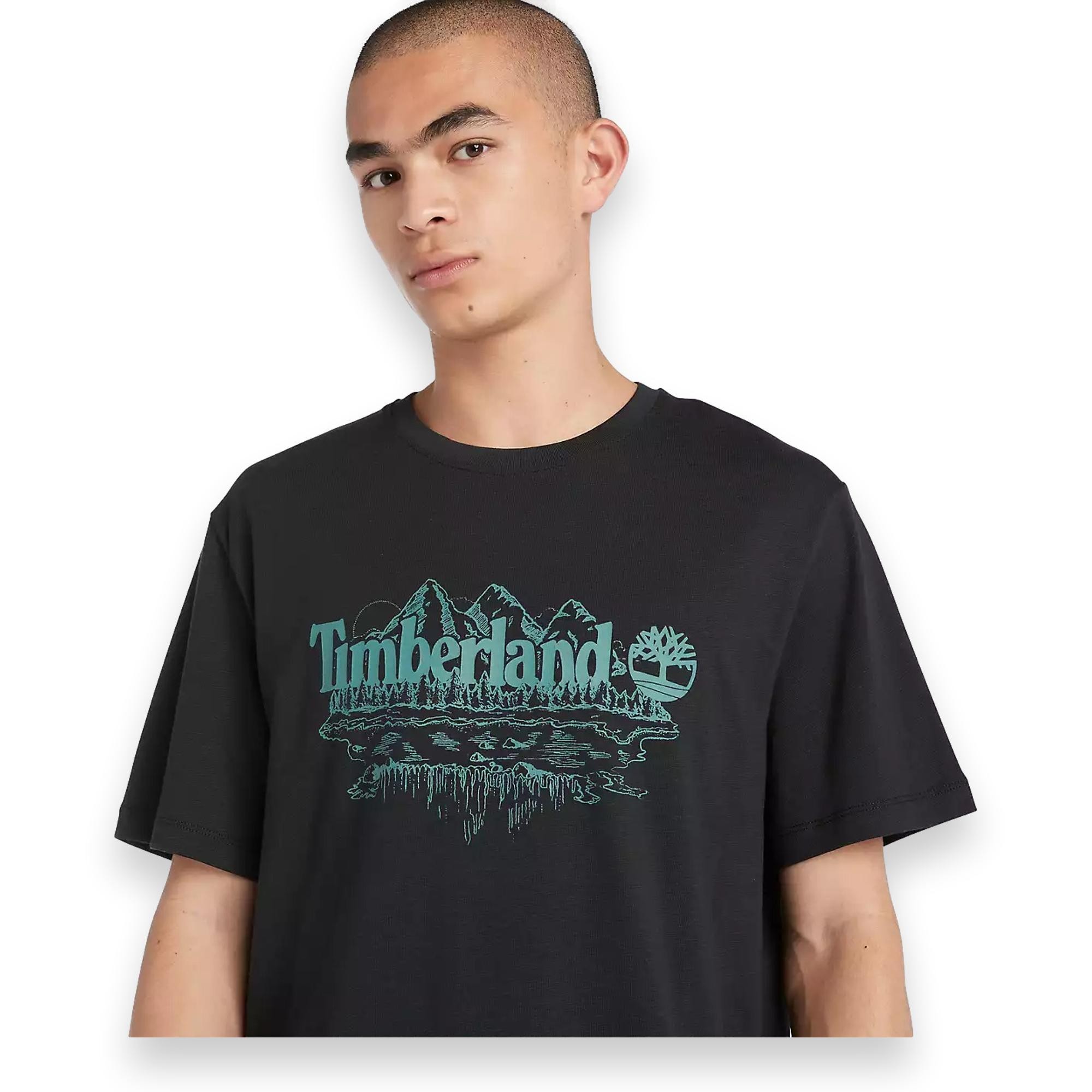 Timberland Tb0A5Ufu Sleeve Graphic Slub Erkek T-Shirt