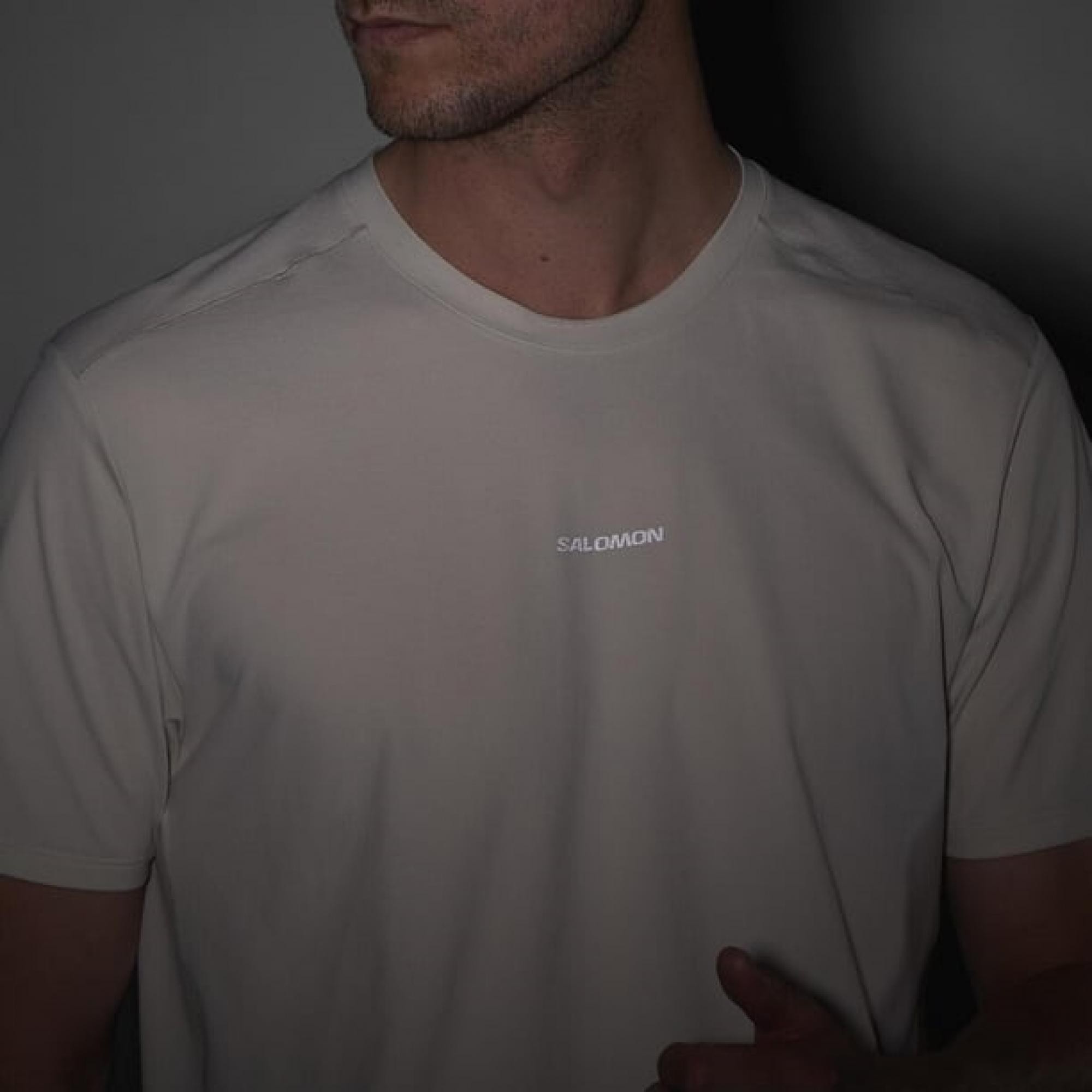 Salomon Lc2438600 Trackline Ss Tee M Kırık Erkek Outdoor