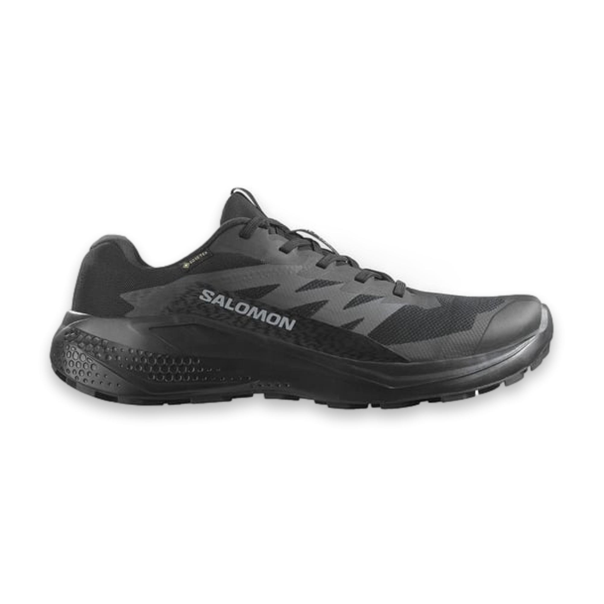 Salomon 478021 Alphaglide Gtx Patika Koşusu Erkek Spor Ayakkabı