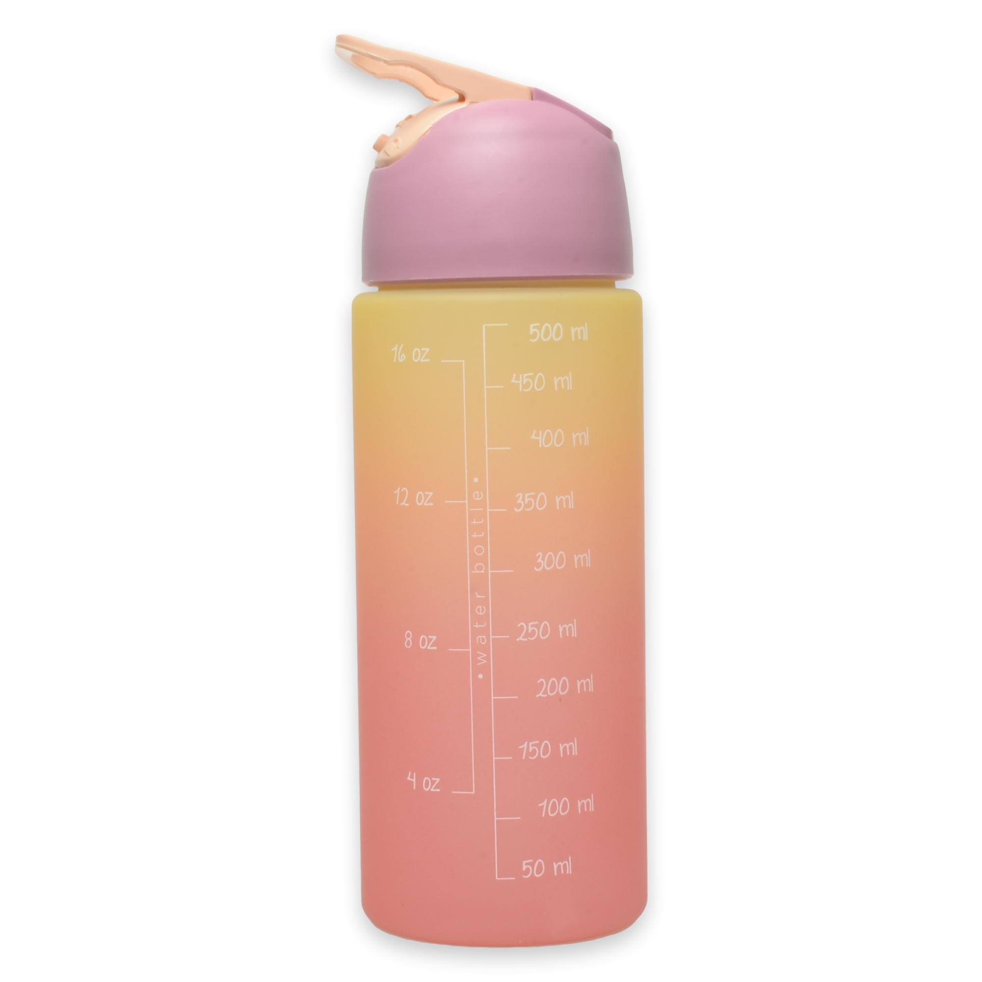 Vicco 25Ka25M100 500 Ml Su Matarası Un Spor Malz