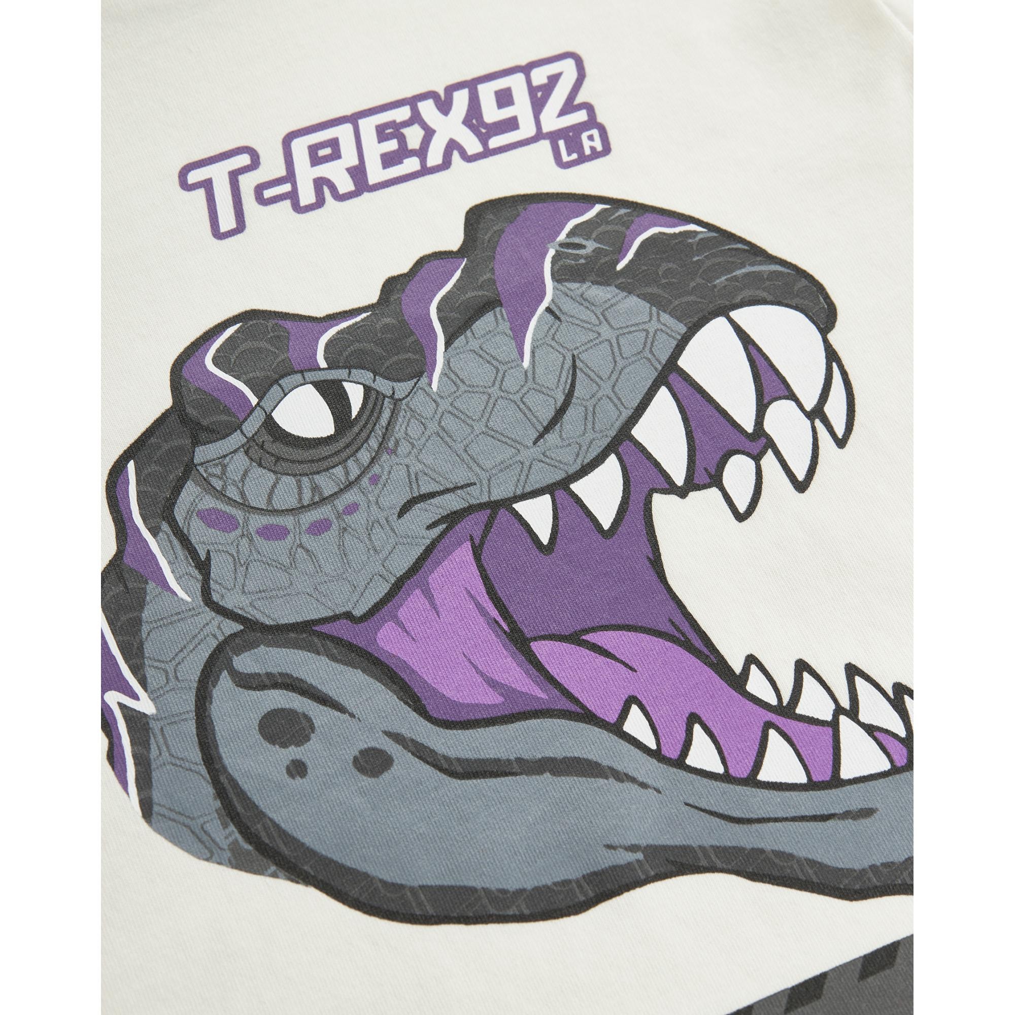 Skechers Sk241093 Graphic Tee Sleeve Erkek Çocuk T-Shirt