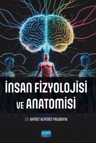 İnsan Fizyolojisi ve Anatomisi