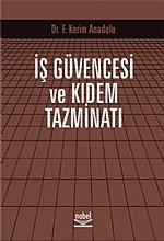 İş Güvencesi ve Kıdem Tazminatı