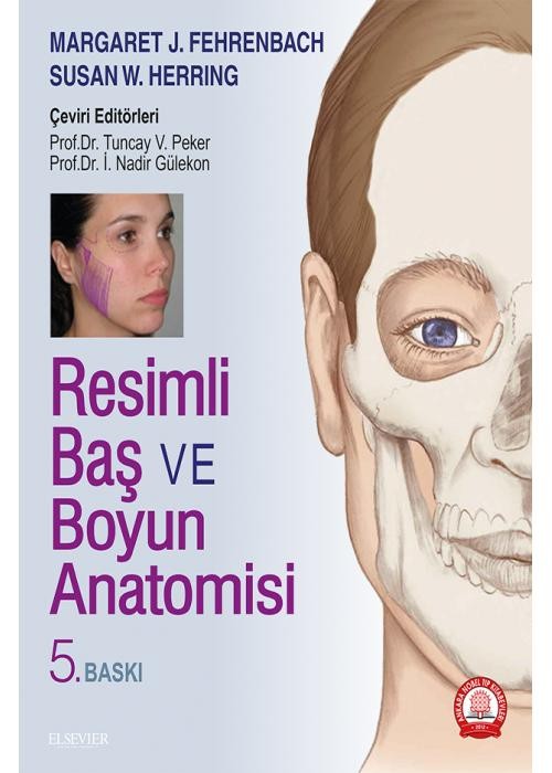 Resimli Baş ve Boyun Anatomisi