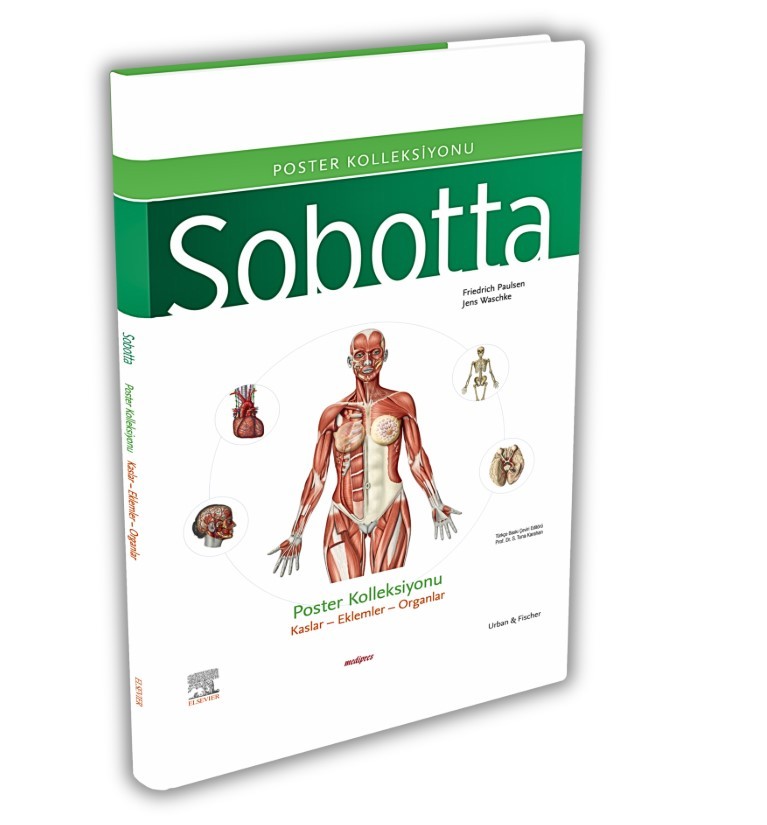 Sobotta İnsan Anatomisi Atlas Türkçe 4 Cilt Set