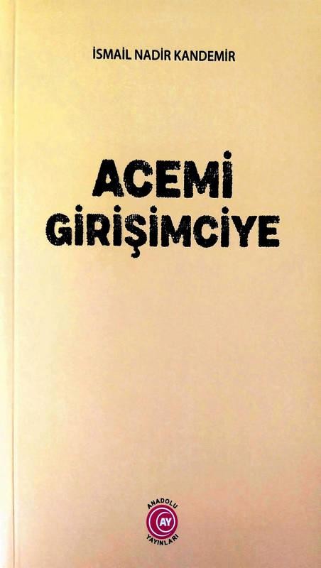 Acemi Girişimciye