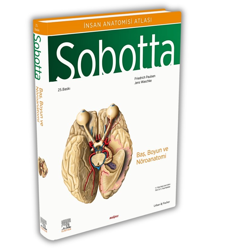Sobotta İnsan Anatomisi Atlas Türkçe 4 Cilt Set