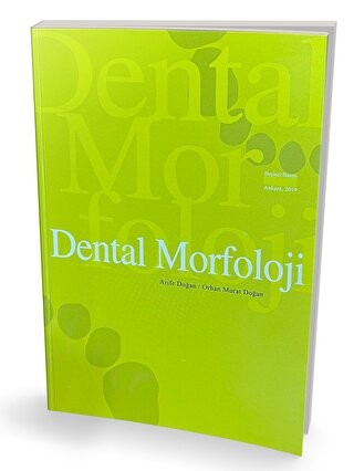 Dental Morfoloji - Arife Doğan