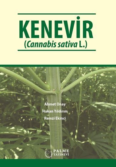 KENEVİR