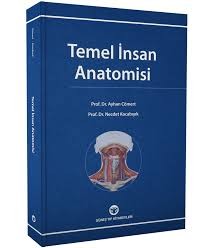 Temel İnsan Anatomisi