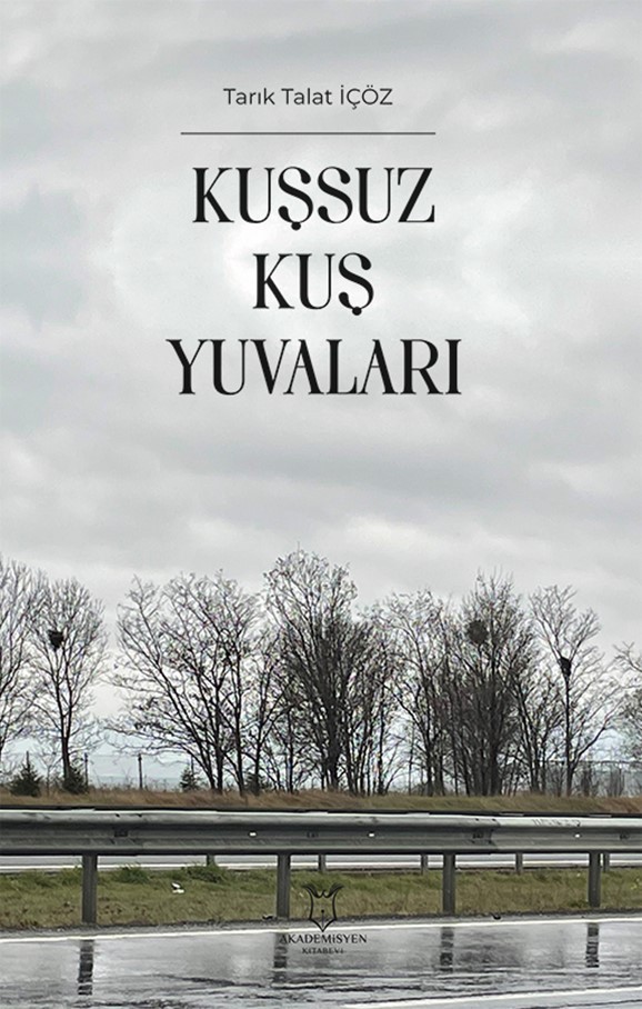 Kuşsuz Kuş Yuvaları