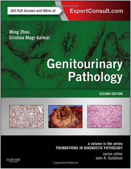 Genitourinary Pathology: A Volume in the Series: Foundations in Diagnostic Pathology,
