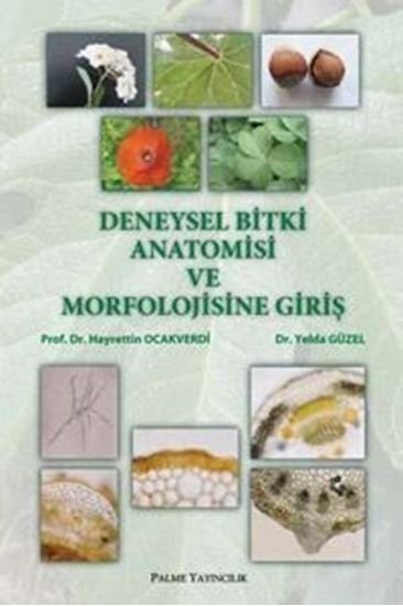 Deneysel Bitki Anatomisi ve Morfolojisine Giriş