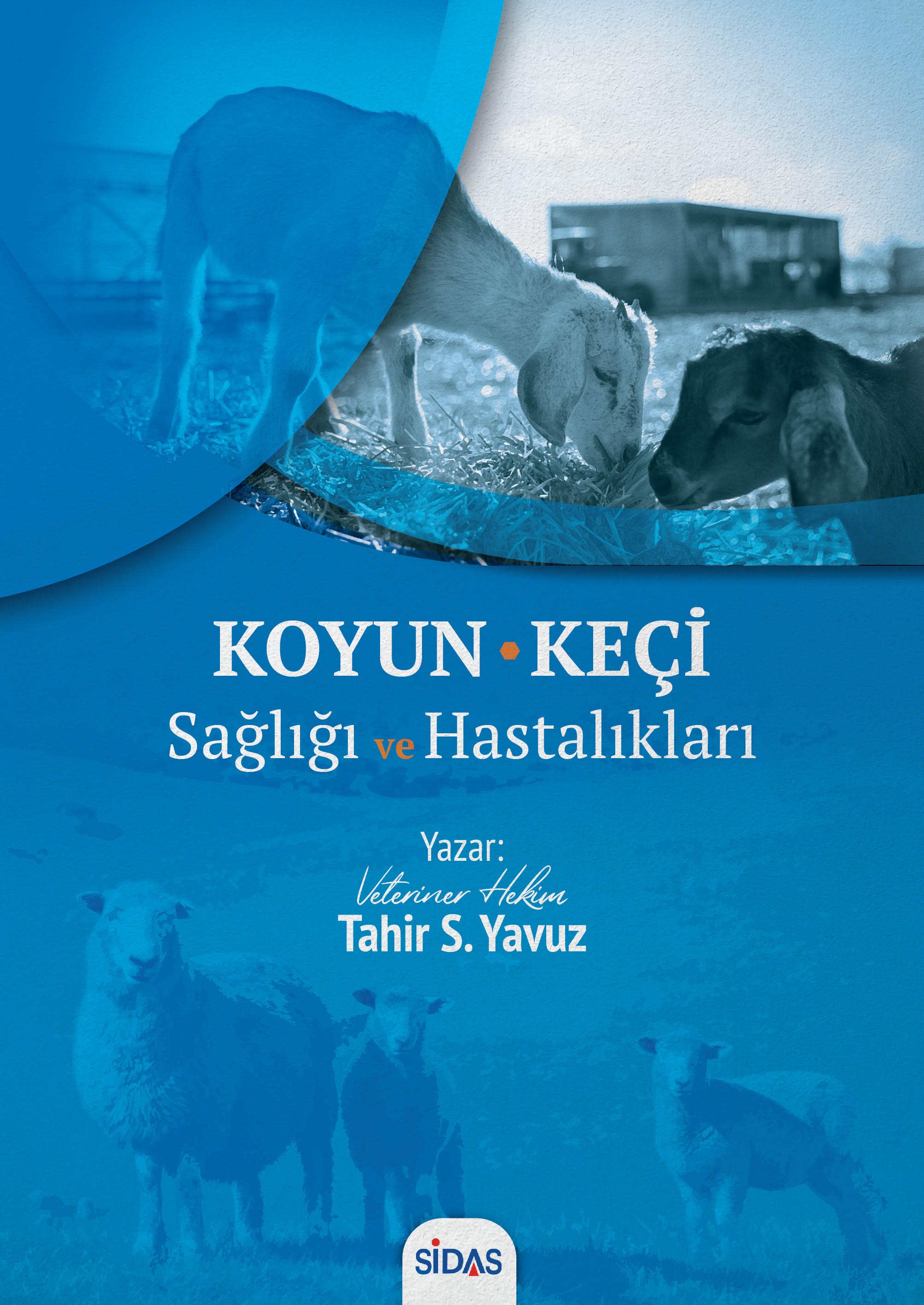 KOYUN KEÇİ Sağlığı ve Hastalıkları