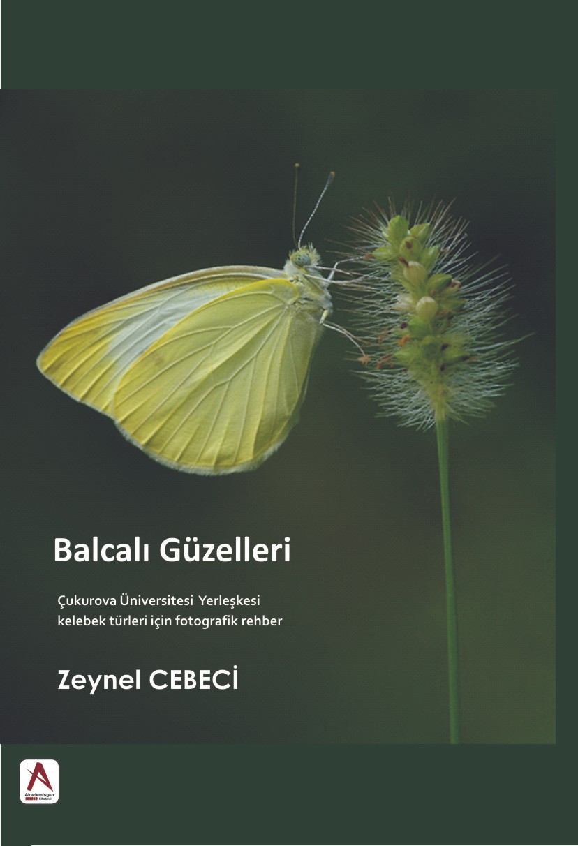 Balcalı Güzelleri "Kelebek Türleri İçin Fotografik Rehber"