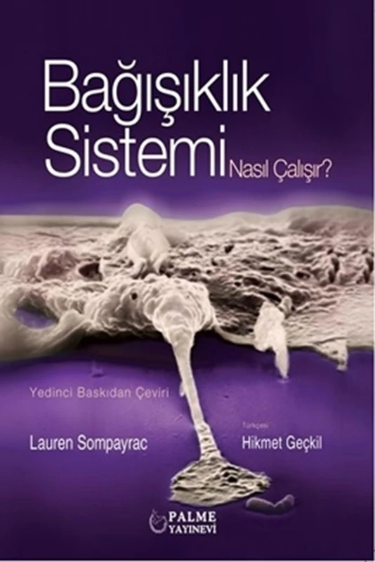 Bağışıklık Sistemi Nasıl Çalışır ?