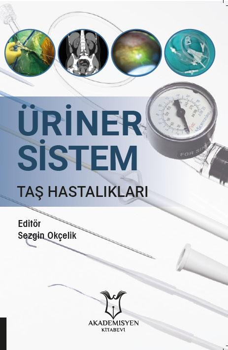 Üriner Sistem Taş Hastalıklar