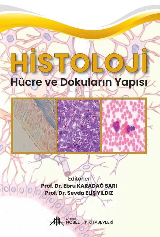 Histoloji Hücre ve Dokuların Yapısı