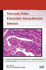 Yumuşak Doku Tümörleri Biyopsilerinin Yorumu Biyopsi Yorumları Serisi