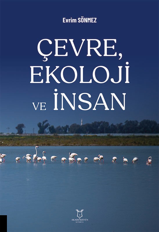 Çevre, Ekoloji ve İnsan