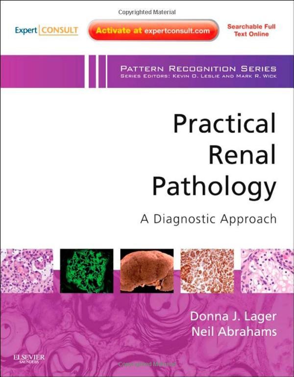 Practical Renal Pathology, A Diagnostic Approach