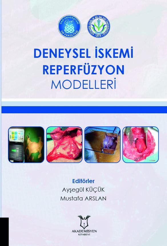 Deneysel İskemi Reperfüzyon Modelleri