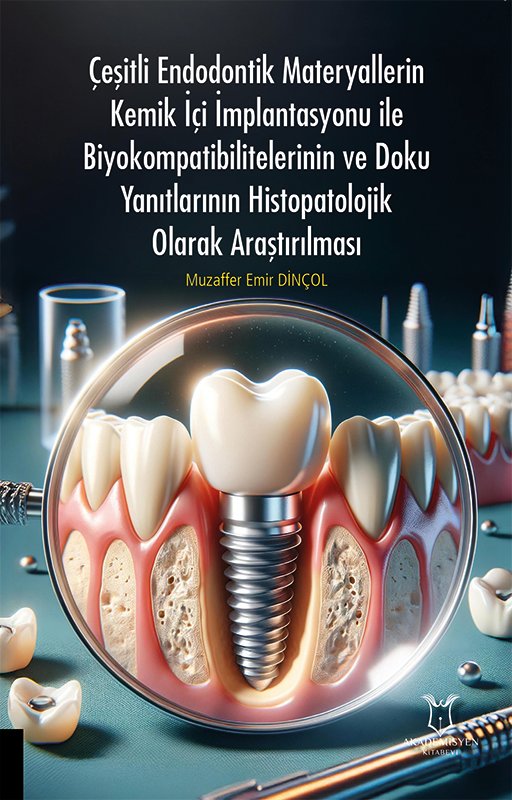 Çeşitli Endodontik Materyallerin Kemik İçi İmplantasyonu İle Biyokompatibilitelerinin ve Doku Yanıtlarının Histopatolojik Olarak Araştırılması