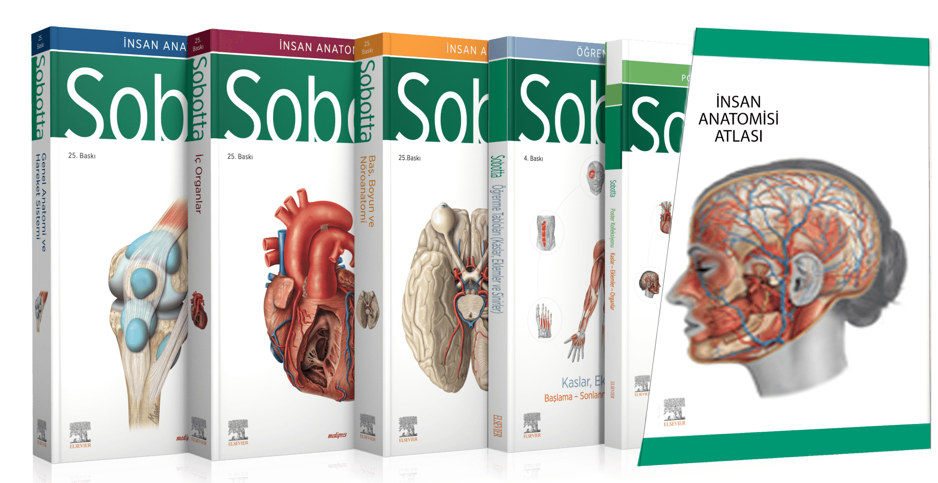 Sobotta İnsan Anatomisi Atlas Türkçe 4 Cilt Set