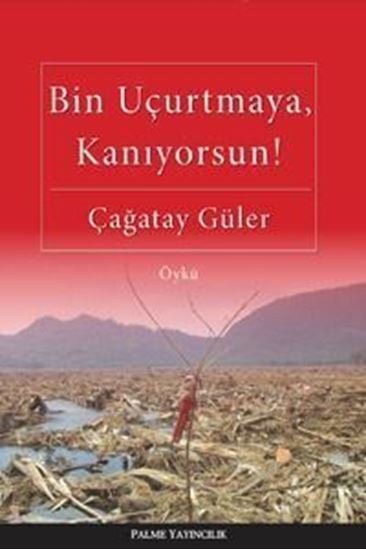 Bin Uçurtmaya Kanıyorsun !