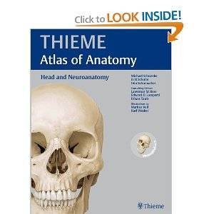 Head and Neuroanatomy (THIEME Atlas of Anatomy)