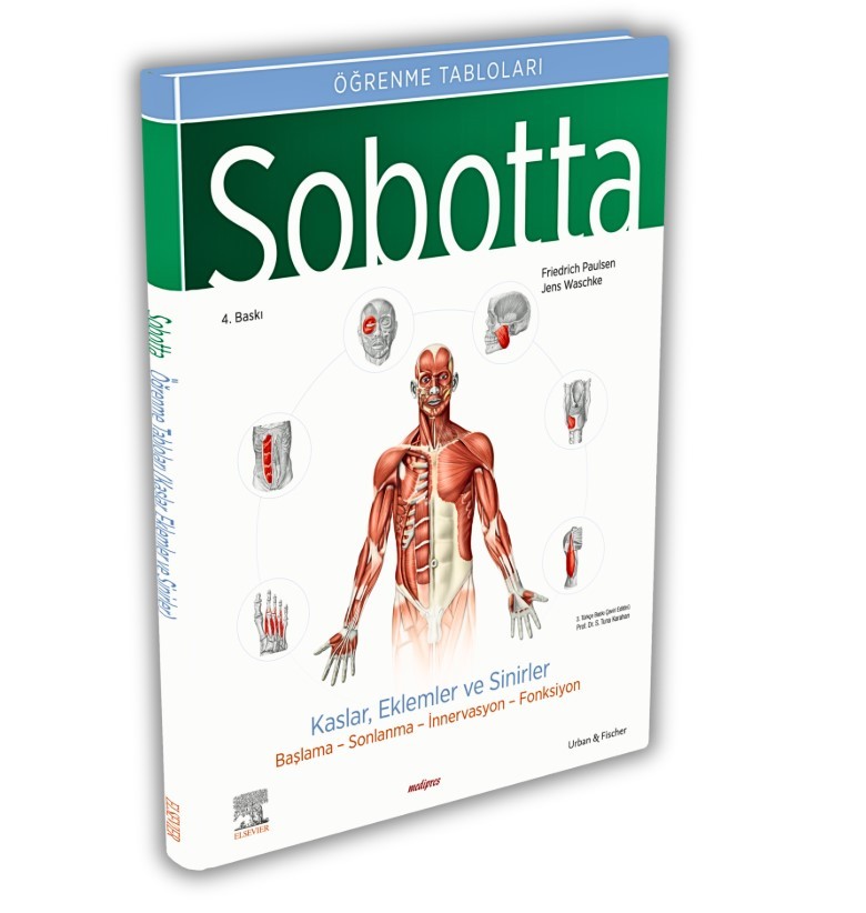 Sobotta İnsan Anatomisi Atlas Türkçe 4 Cilt Set
