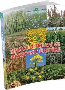 Enerji Bitkileri ve Biyoyakıt Üretimi