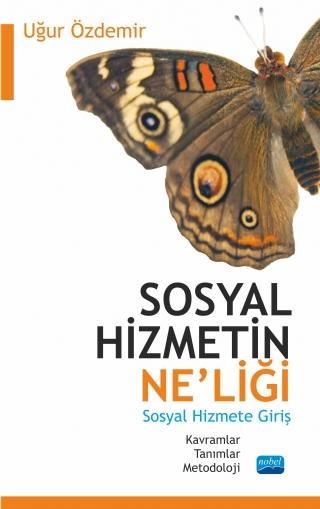 Sosyal Hizmetin Ne’liği -Kavramlar, Tanımlar, Metodoloji- Sosyal Hizmete Giriş