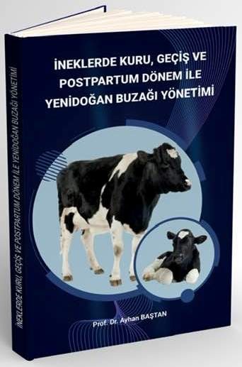 İneklerde Kuru Geçiş Ve Postpartum Dönem İle Yeni Buzağı Yönetimi