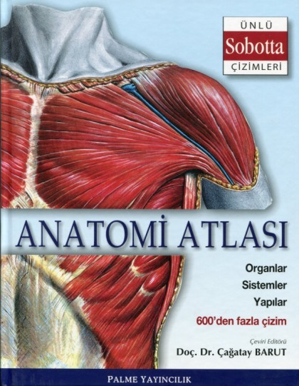 Anatomi Atlası (Sobotta Çizimleri)