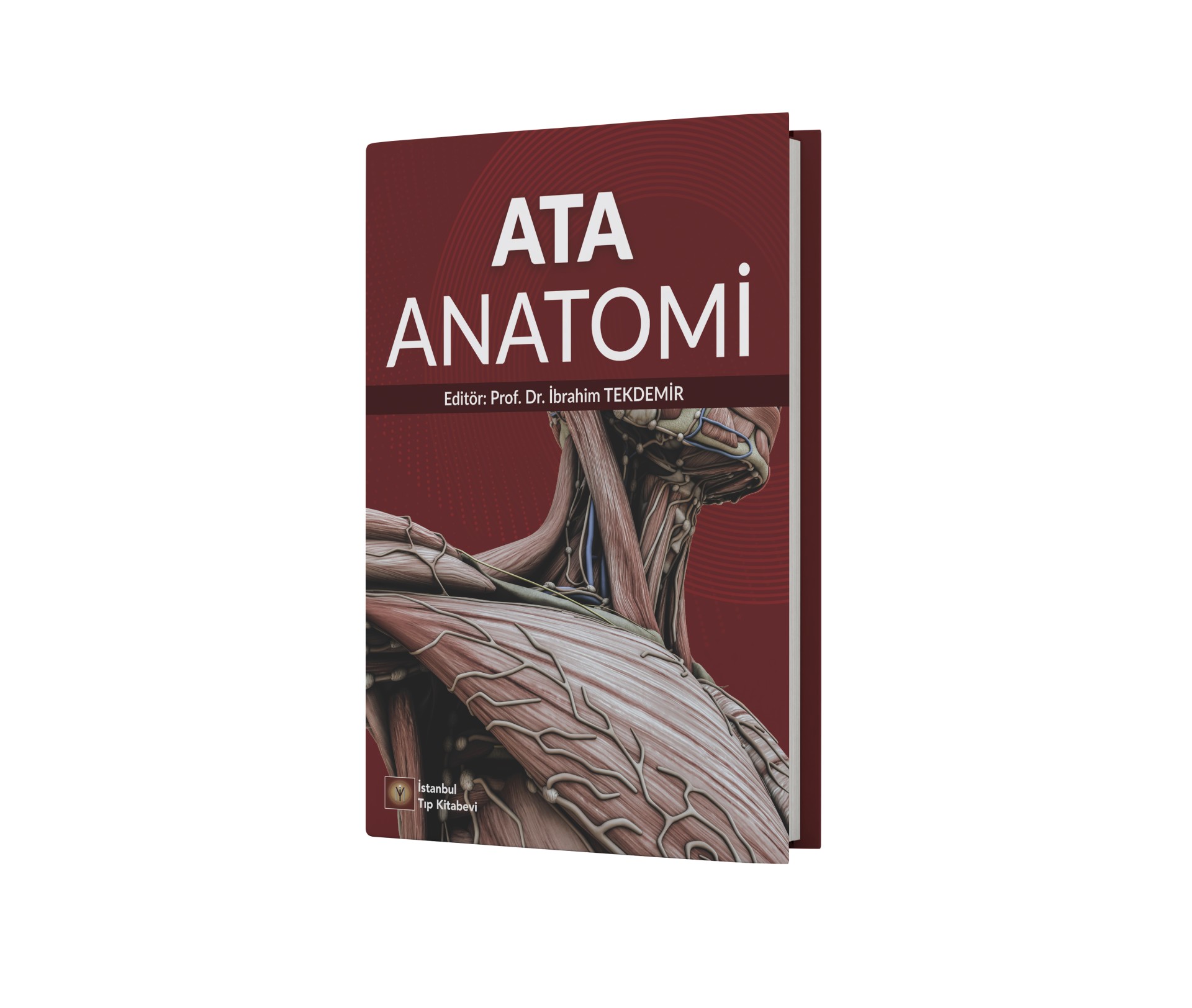 Ata Anatomi