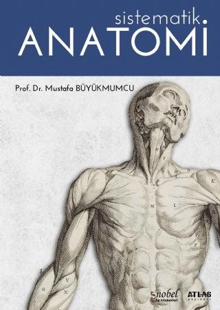 Sistematik ANATOMİ