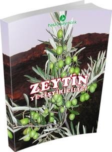 Zeytin Yetiştiriciliği