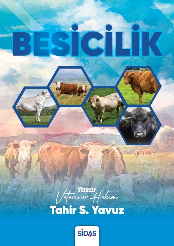 Besicilik