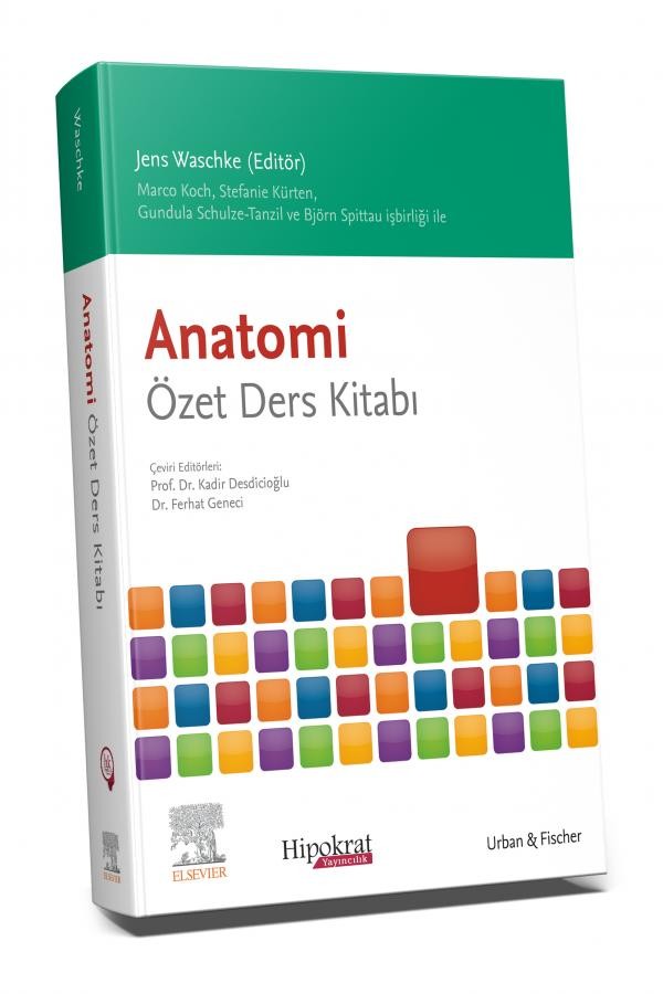 Anatomi Özet Ders Kitabı