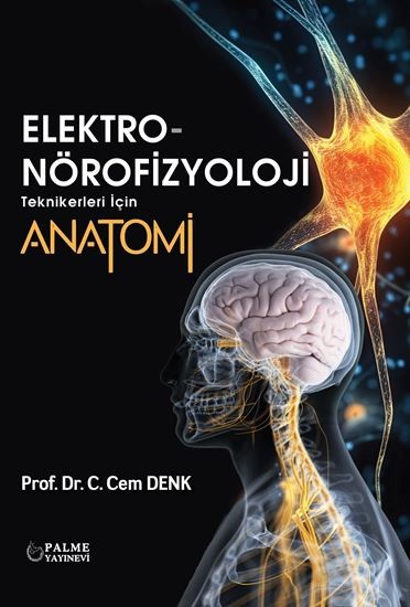 Elektro-Nörofizyoloji Teknikleri İçin Anatomi