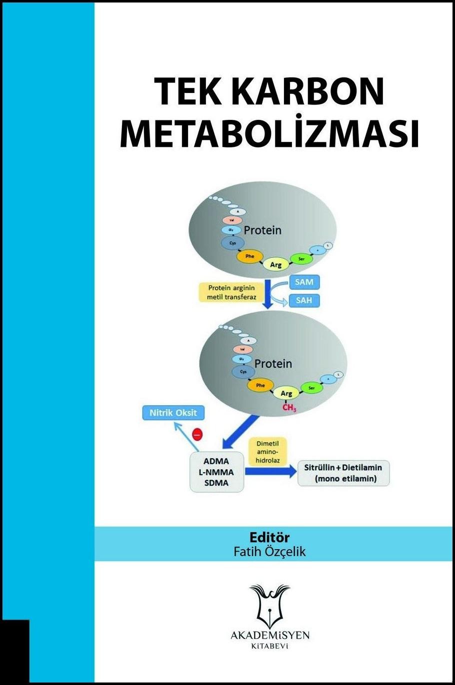 Tek Karbon Metabolizması