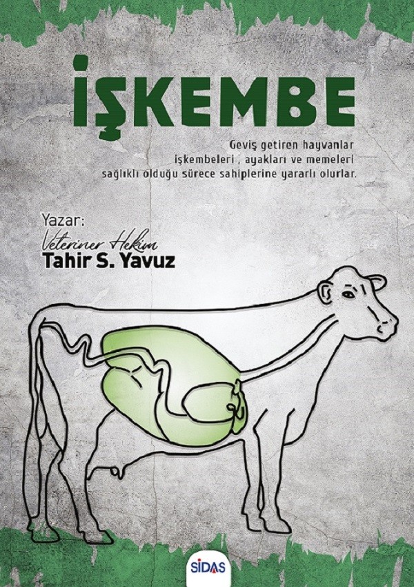 İşkembe