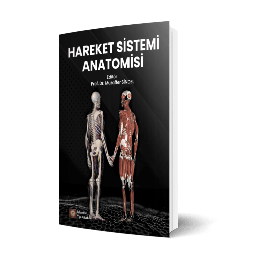 Hareket Sistemi Anatomisi