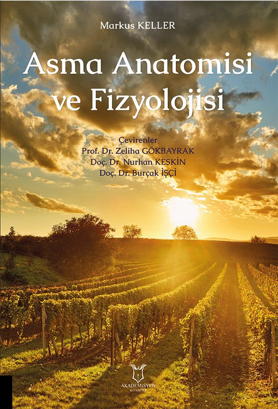 Asma Anatomisi ve Fizyolojisi