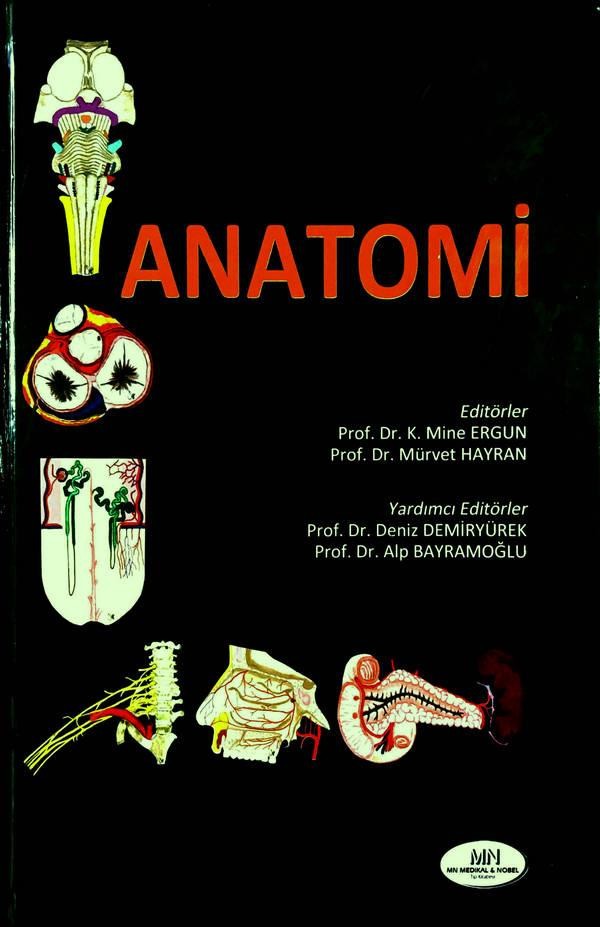 Anatomi / Hacettepe