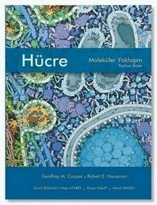 Hücre Moleküler Yaklaşım ( Karton Kapak )